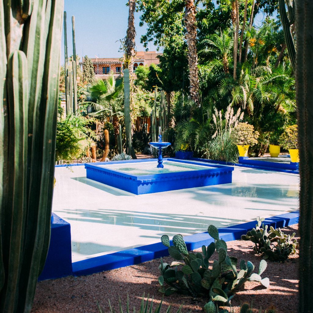 alt=”Marrakech Majorelle garden”