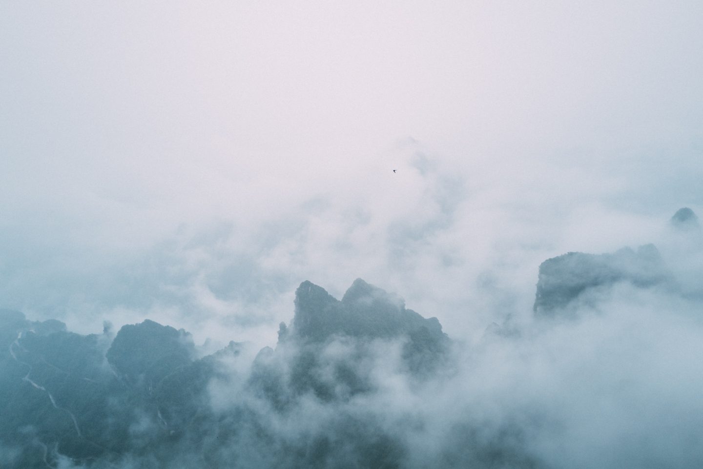 photo of the mountains with fog and a bird flying far away